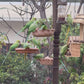 Terracotta Bird  Feeder for Home Garden Balcony decor