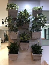 VERTICAL WALL POCKET PLANTER IN WOOD AND METAL WITH TERRACOTTA LINER.