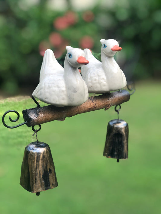 Ducks on swing