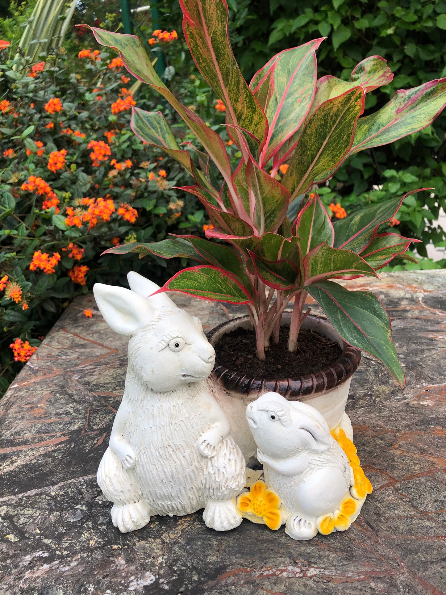 RABBIT WITH BABY PLANTER