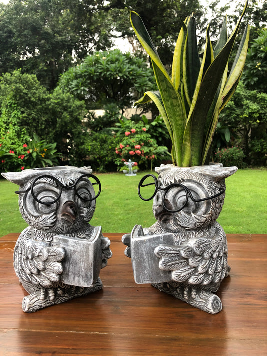Wise Owl Planter pot In Resin Home Balcony Garden Decor