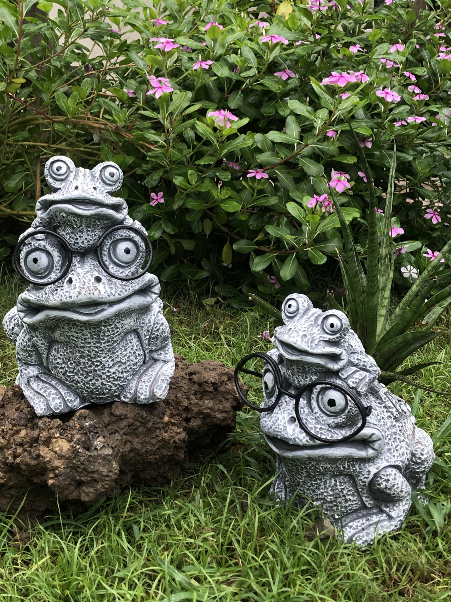 JUNIOR AND SENIOR FROG PLANTER POT FOR HOME GARDEN BALCONY DECOR