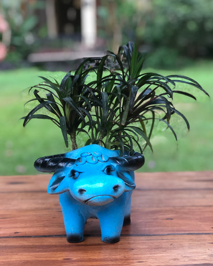 Bull animal planter for home garden balcony decor