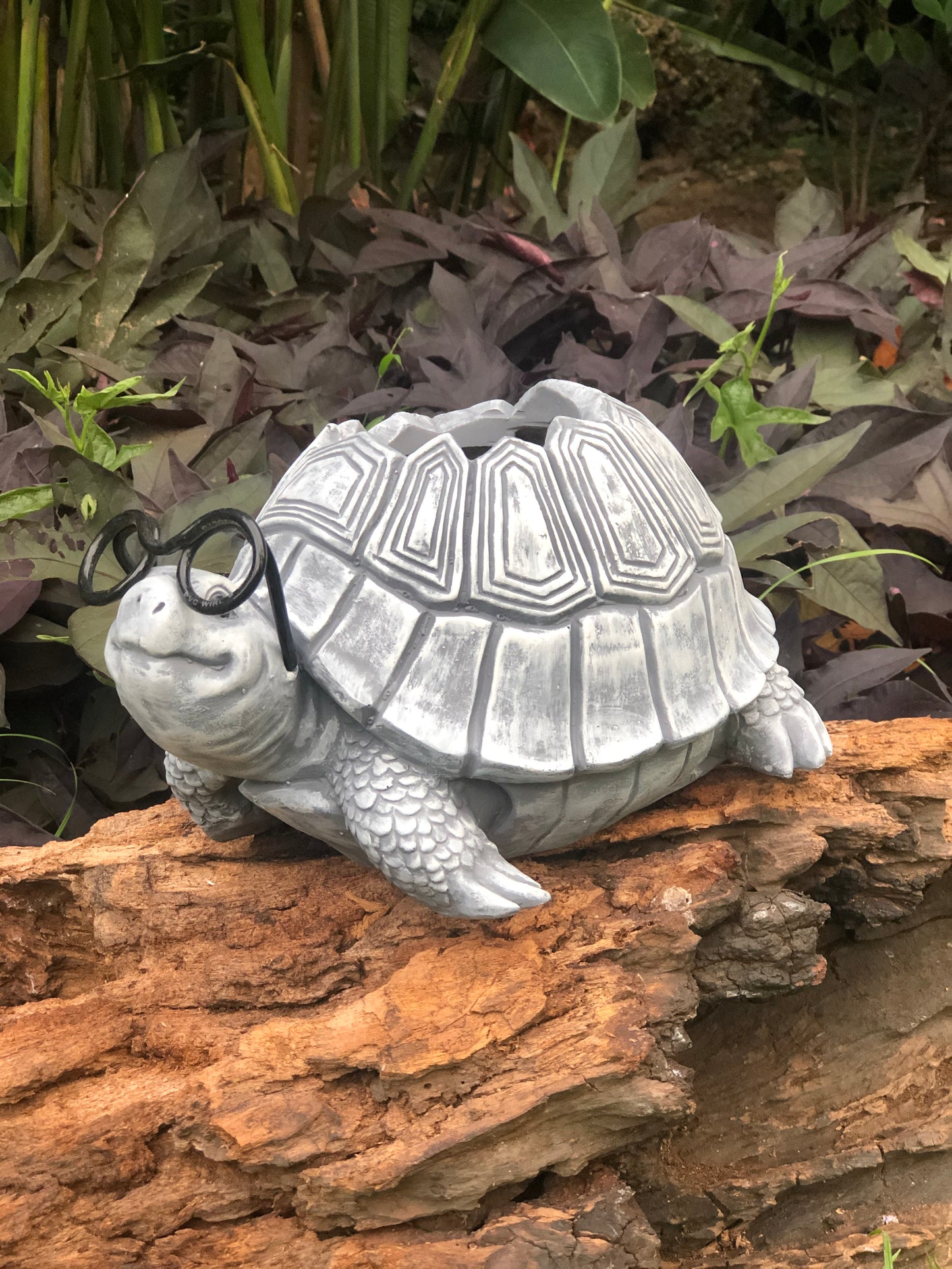 TURTLE ANIMAL PLANTER POT IN FIBRE FOR HOME GARDEN AND BALCONY DECOR