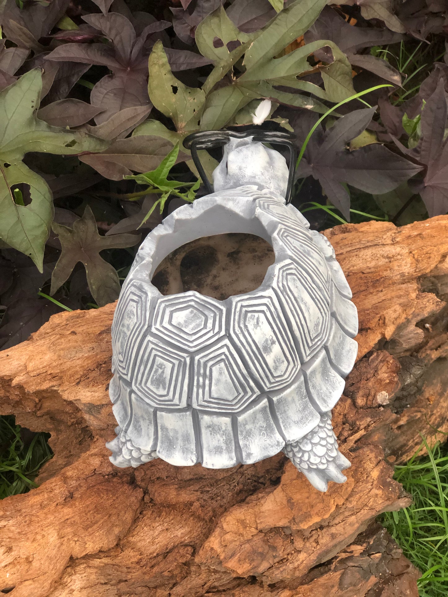 TURTLE ANIMAL PLANTER POT IN FIBRE FOR HOME GARDEN AND BALCONY DECOR