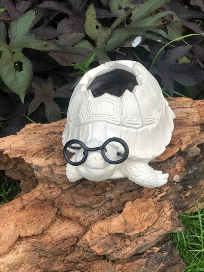 Turtle animal planter pot in fibre for home garden and balcony decor
