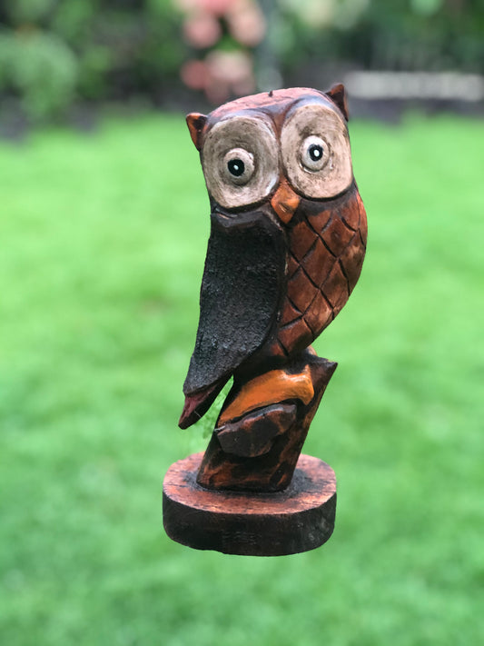 Rustic Handpainted Wooden Owl Home Garden Balcony Decor