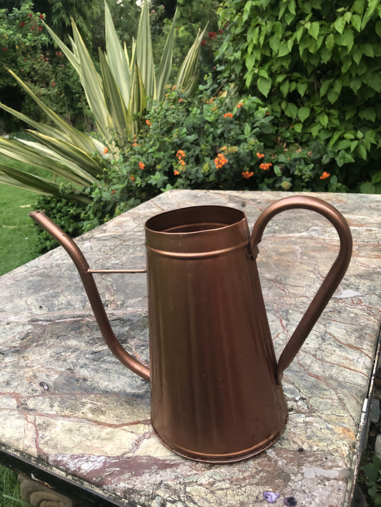 Lightweight Watering Can for Gentle Watering of Plants