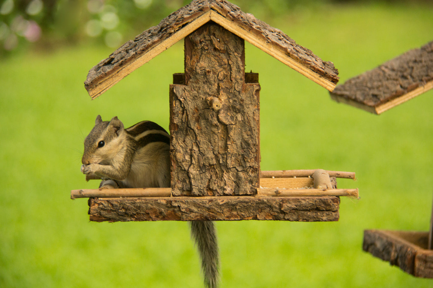 BIRD HOUSE CUM FEEDER FOR BALCONY /PATIO DECOR