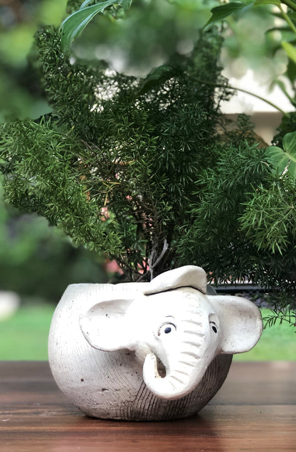 Elephant planter pot for home garden balcony decor