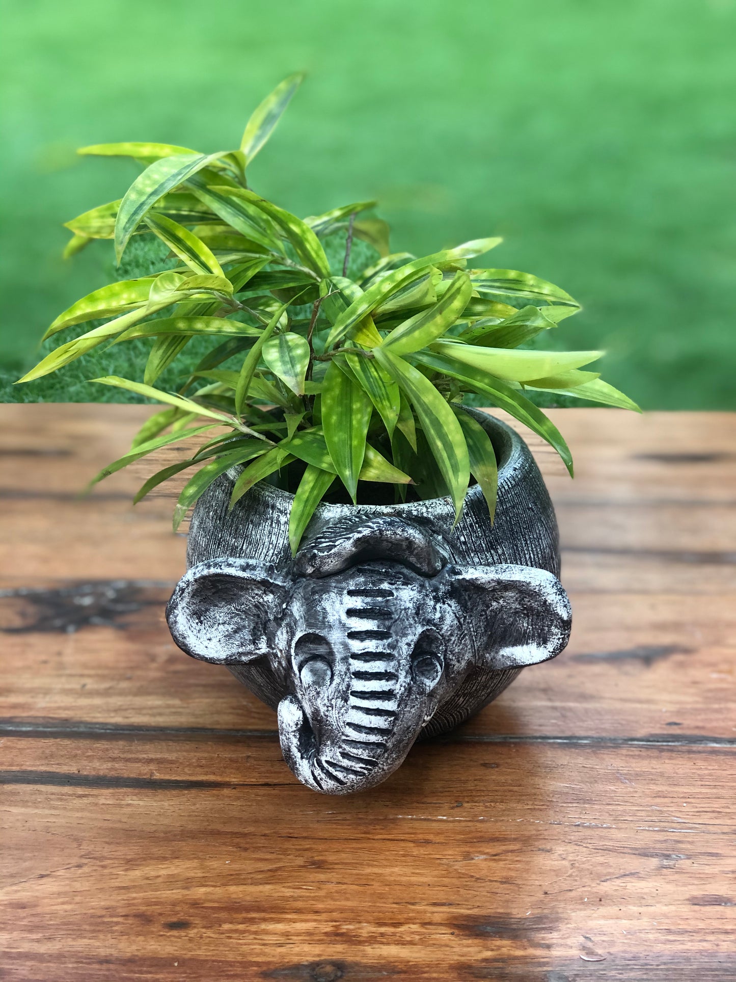 ELEPHANT TERRACOTA GARDEN PLANTER POT FOR HOME, GARDEN AND BALCONY DECOR