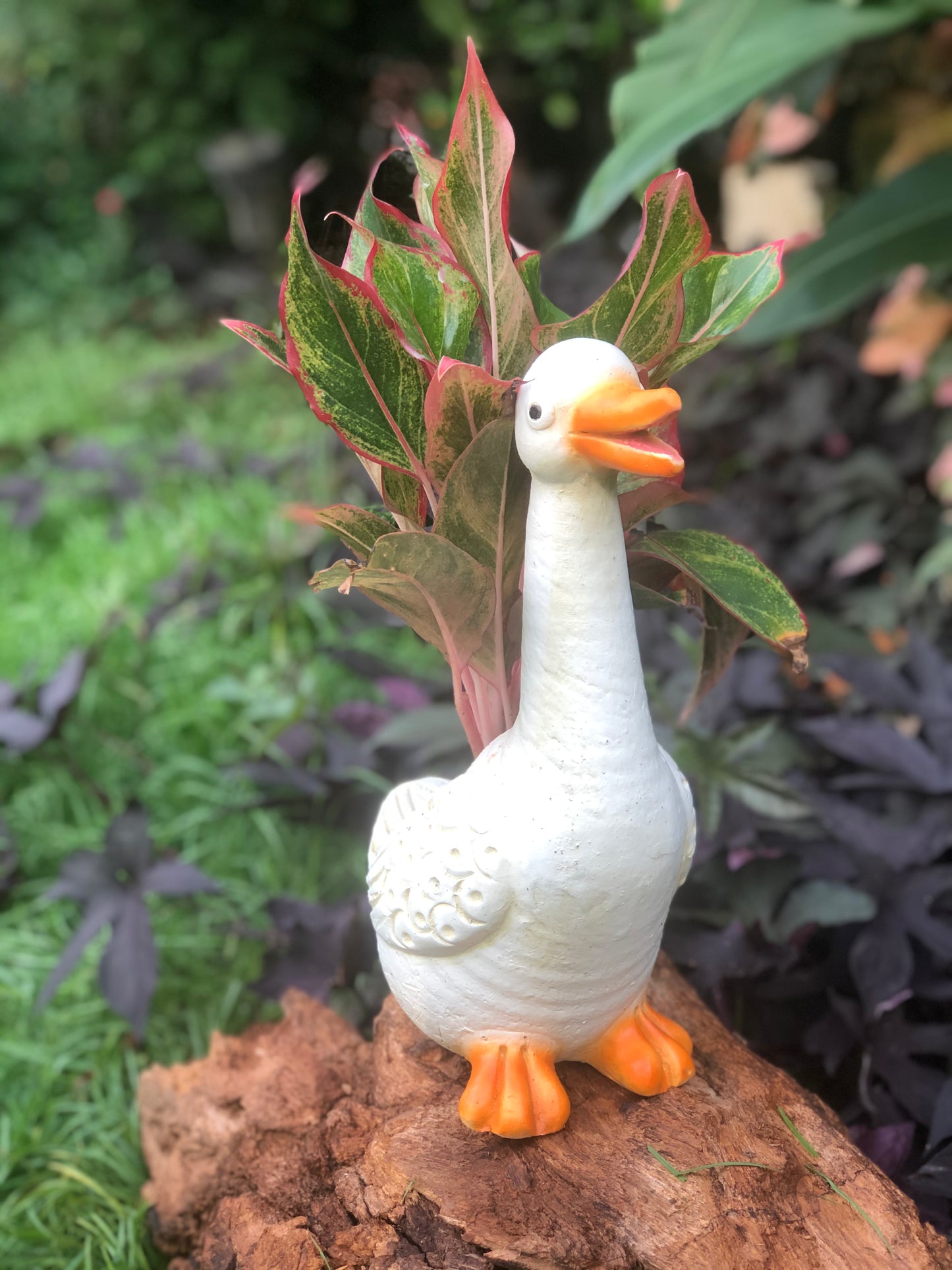 GOOSE ANIMAL PLANT TERRACOTA POT BALCONY GARDEN HOME DECOR