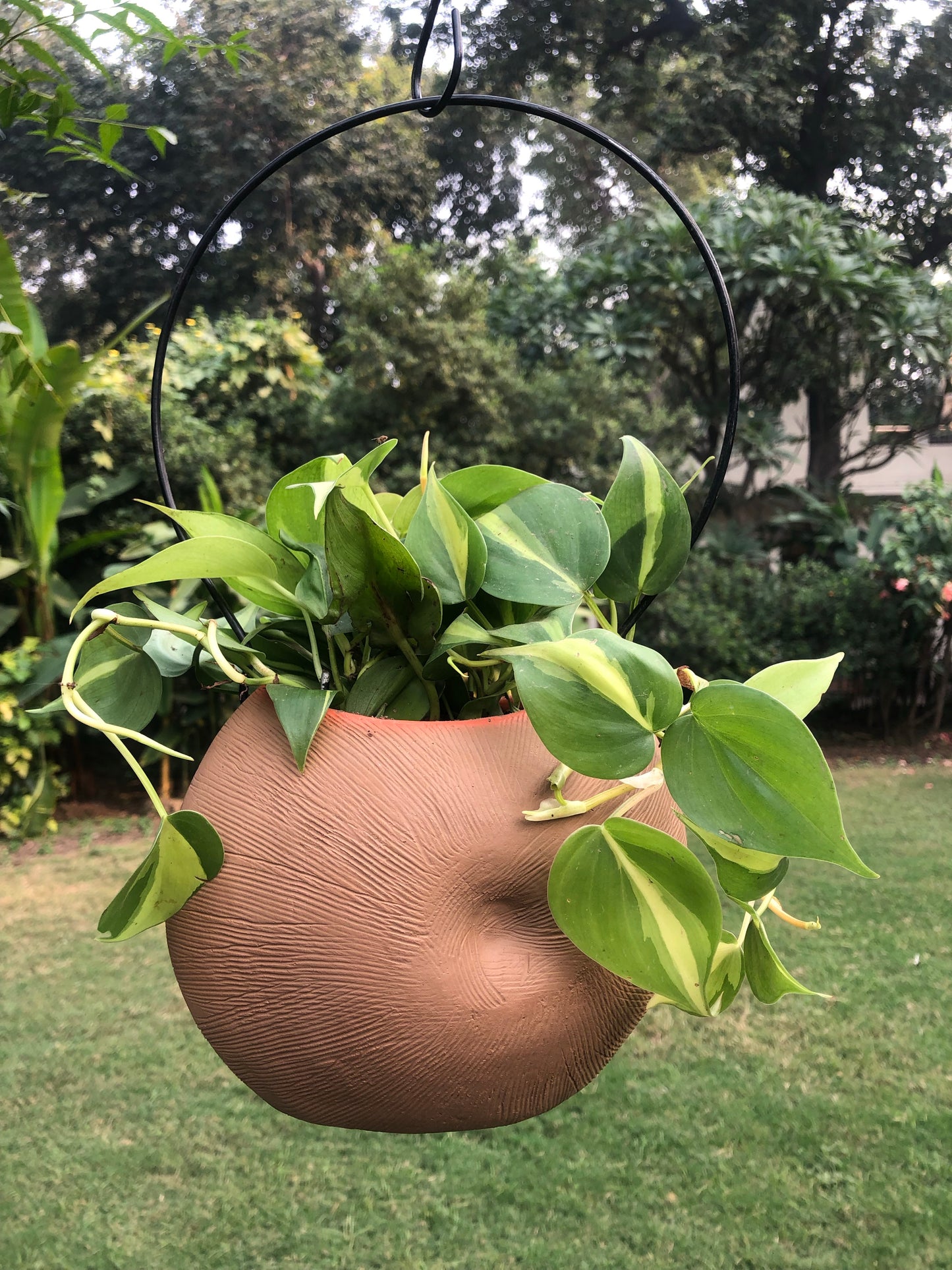 SHELL HANGING TERRACOTTA PLANTER POT