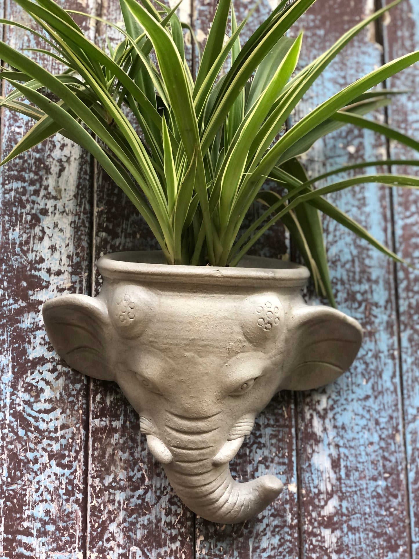 ELEPHANT WALL PLANTER POT FOR HOME GARDEN AND BALCONY DECOR