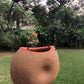 Shell hanging terracotta planter pot