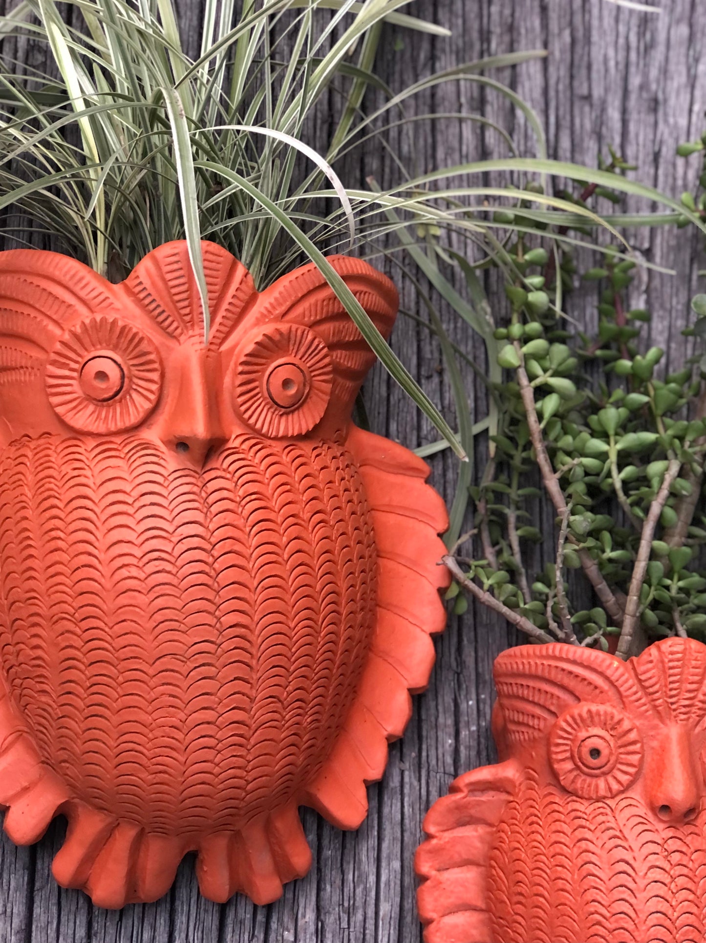 TERRACOTTA WALL OWL PLANTER POT FOR HOME GARDEN BALCONY DECOR