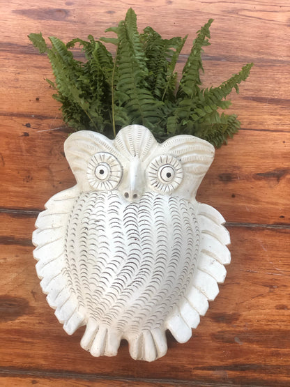 Terracotta owl wall planter pot for home garden balcony decor