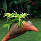 Terracotta hornbill hanging planter pot for home garden balcony decor