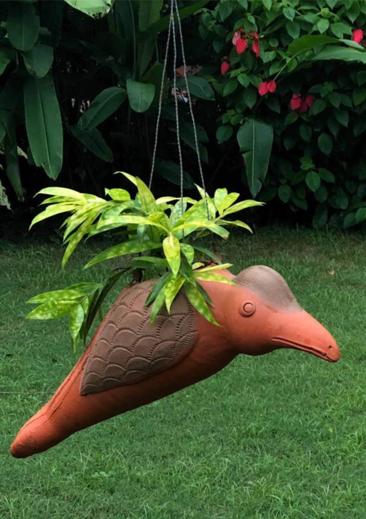 TERRACOTTA HORNBILL HANGING PLANTER POT FOR HOME GARDEN BALCONY DECOR