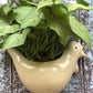 Ceramic wall planter pot for home garden balcony decor